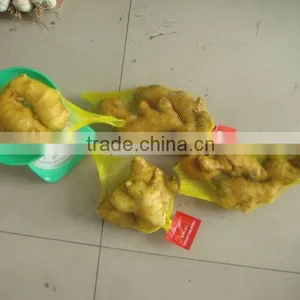 Ginger thumbnail-1