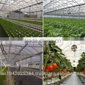 Seedling Planting Machine and Plant Nursery for Hydroponic Systems thumbnail-1