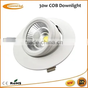 Exclusive Design 30w Decorative Led Downlights Lights thumbnail-6