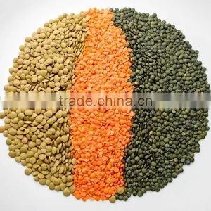 Red and Green Brown Lentils thumbnail-1