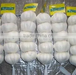 Chinese Jingxiang Garlic thumbnail-1