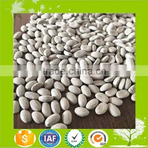 High Quality Desiccant Masterbatch /plastic Moisture Absorbing Master Batch thumbnail-1