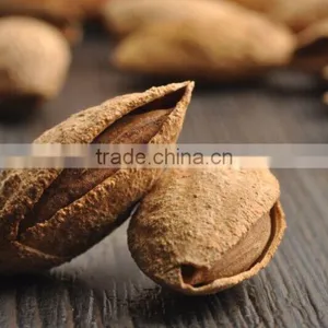 Chinese Badam Almond in Shell With QS Standard thumbnail-3