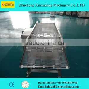 Stainless Steel Flet Belt Conveyor thumbnail-1