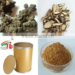 Natural Grifola Umbellate Extract Powder 20% 25% 30% Polysaccharides thumbnail-1