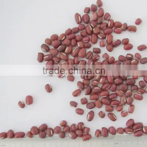 Small Size Adzuki Beans Red Ball Beans thumbnail-5