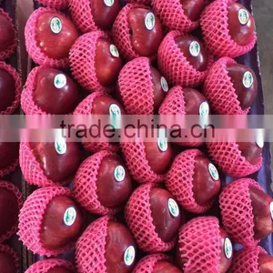 Fresh Apples thumbnail-1