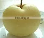 Huangguan Pear/ Crown Pear / Golden Pear thumbnail-1