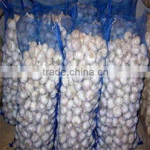 2017 Fresh Pure White Garlic thumbnail-2