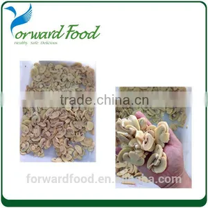 Canned Mushroom Champignon in Brine Factory Price thumbnail-2