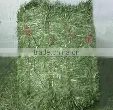 Dry Hay Bale, Rhode Hay Bale, Grass Hay Bale, Animal Feeding Hay Bale, Hay Bale thumbnail-1