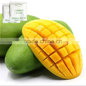 Factory Direct Price Just the Good Quality Mango Ripener Ethylene 20016 Hot Sale thumbnail-2