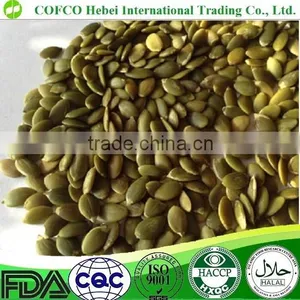 Selected Pumpkin Kernels thumbnail-1
