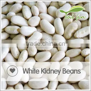 Foul Medames White Kidney Beans For Canning thumbnail-3
