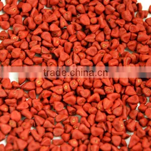 Annatto Seeds thumbnail-1