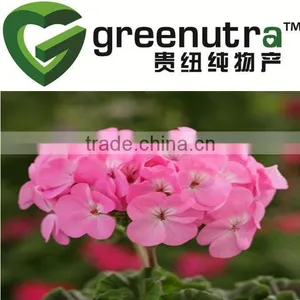 High Quality Geranium Extract thumbnail-1