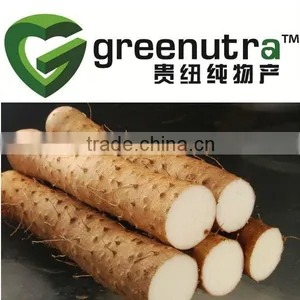 Wild Yam Root Extract thumbnail-1
