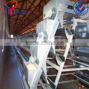 Types of Sheds for Broilers With Floor thumbnail-2