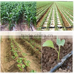 Flat and Emitter Drip Tape Irrigation With Thickness 0.30MM thumbnail-2