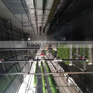 1000-100000KG/DAY Automatic Heating and Watering Hydroponic Fodder Production Line thumbnail-1