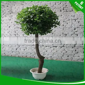 Artificial Green Banyan Ficus Trees Bonsai Plant thumbnail-2