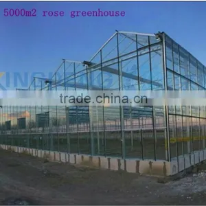 Commercial Rose Multi-span Glass Green House for Sale thumbnail-2