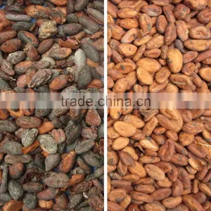 Stable Quality Cacao Beans Color Sorter Machine thumbnail-2