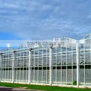Glass Greenhouse-2 thumbnail-3