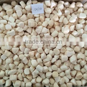 Frozen Chlemy Nobilis Bay Scallop for Sale thumbnail-1