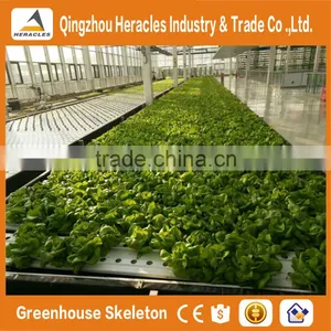 Heracles 2016 Hot Sale Flower Pot Vertical Garden Green Wall With Hydroponics System thumbnail-1