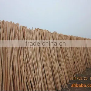 Factory Direct Sales: Varnished Wooden Handle thumbnail-1