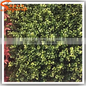 50cm L x 50cm W Artificial Green Leaf Grass Boxwood Hedge Fence 20160622 thumbnail-1