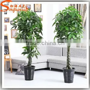 2015 Hot Sale Home Decoration All Types of Indoor Plants Plastic Bonsai Plants and Mini Trees thumbnail-1