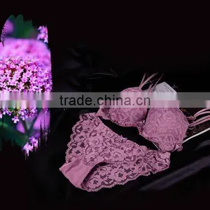 Hot Sex Lady Sexy Underwear Bra New Design thumbnail-5