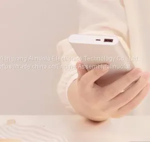 Xiaomi Power Bank 2 External Battery Portable Power Supply Black Sliver Quick Charge Support Android and IOS Mobile thumbnail-4