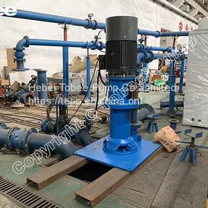 Tobee® TP100RV Vertical Spindle Pump thumbnail-1