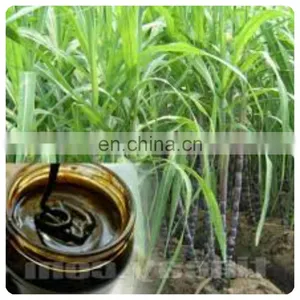 High Quality Glucose Palm Sugar Dark Liquid Sugar Raw Black Sugarcane Molasses For Animal Feed Usage thumbnail-3