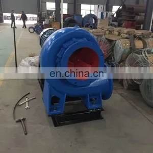 Agricultural Irrigation Water Pump 10 Inches 250HW-7S thumbnail-2