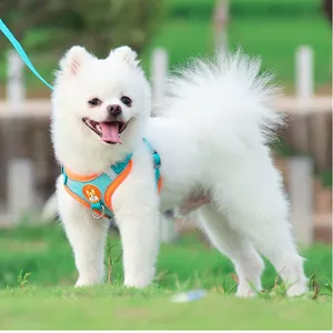 Pet Harness Small Dog With Leash Set thumbnail-1