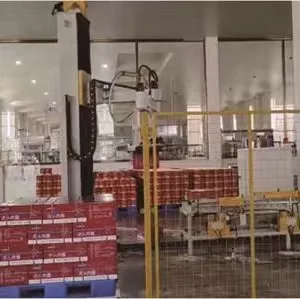 Column Palletizer for 70kg Carton Stacking Palletizing Machine Automatic Robot Palletizer thumbnail-2