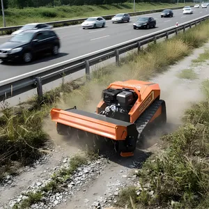 Vigorun MTSK800 Automatic Grass Cutter Robot Euro 5/EPA User-Friendly Remote Control Mulcher Robot thumbnail-1