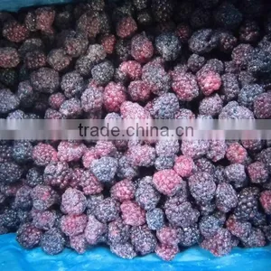 Chinese IQF Frozen Fresh Blackberry Fruit Bulk thumbnail-1