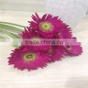 Real Fresh Gerbera Lower Price Beautiful Cut Flowers thumbnail-5