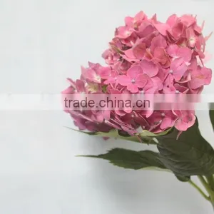 Fresh Hot Sale European Style Flower Hydrangea thumbnail-1