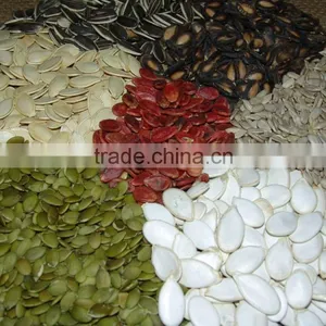 PUMPKIN SEED/SHINE SKIN PUMPKIN SEED thumbnail-1