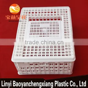 Plastic Transportation Cage for Transport Chicken Duck Birds Cails Quail Pigeon Rabbit Turkey thumbnail-1
