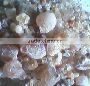 Hot Sale HIgh Quality Gum Arabic thumbnail-1