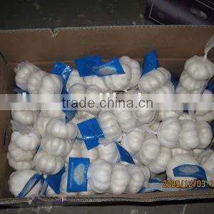 Shangdong Fresh Garlic thumbnail-1