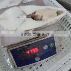Oil Fish Steaks thumbnail-1