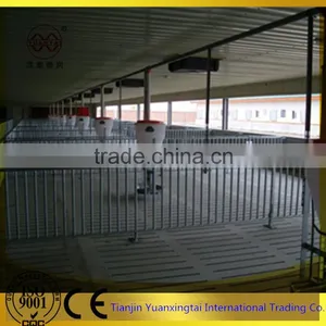Steel Pig Gestation Stall/galvanized Steel Pipe thumbnail-3